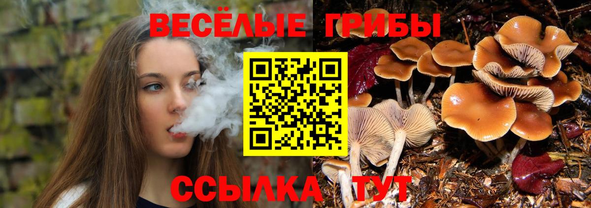 Галлюциногенные грибы мухоморы Ногинск